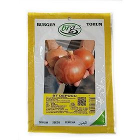 Burgen Tohum 10 gr Depocu İri Sarı Soğan Tohumu