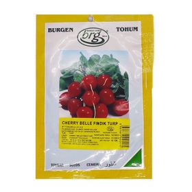 Burgen Tohum 10 gr Fındık Turp Tohumu