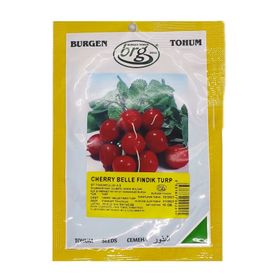 Burgen Tohum 10 gr Fındık Turp Tohumu