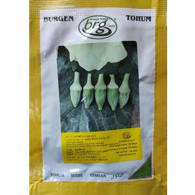 Burgen Tohum 10 gr Yalova Akköy - Japon Bamya Tohumu