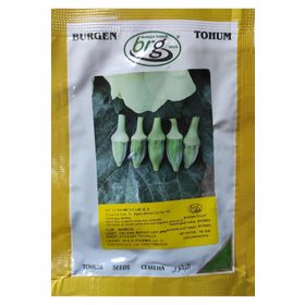 Burgen Tohum 10 gr Yalova Akköy - Japon Bamya Tohumu