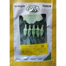 Burgen Tohum 10 gr Yalova Akköy - Japon Bamya Tohumu