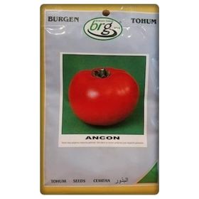 Burgen Tohum Ancon Domates Tohumu 10 gr Iri Domates-Bursa Tohum