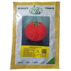 Burgen Tohum Ancon Domates Tohumu 10 gr Iri Domates-Bursa Tohum