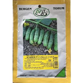 Burgen Tohum Starex F1 10 gr Turşuluk Hıyar Tohumu