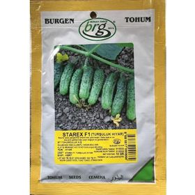 Burgen Tohum Starex F1 10 gr Turşuluk Hıyar Tohumu