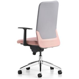 Bürotime Comfy Başlıklı Sabit Kol Alüminyum Ayak Gri Somon Çalışma Koltuğu