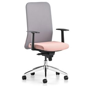 Bürotime Comfy Başlıklı Sabit Kol Alüminyum Ayak Gri Somon Çalışma Koltuğu