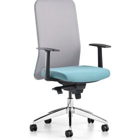 Bürotime Comfy Sabit Kol Alüminyum Ayak Gri Mint Yeşili Çalışma Koltuğu
