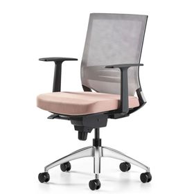 Bürotime Cozy Sabit T Kol Alüminyum Ayak Gri/Somon Çalışma Koltuğu