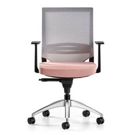 Bürotime Cozy Sabit T Kol Alüminyum Ayak Gri/Somon Çalışma Koltuğu