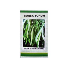Bursa Tohum 1 kg Balkız Fasulye Tohumu