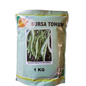 Bursa Tohum 1 kg Balkız Fasulye Tohumu