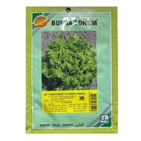 Bursa Tohum 25 gr Karadeniz Kıvırcık Marul Tohum