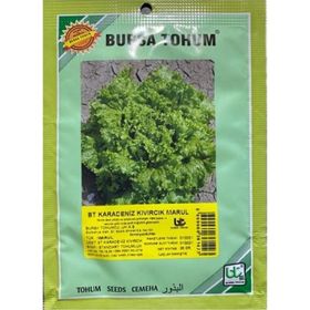 Bursa Tohum 25 gr Karadeniz Kıvırcık Marul Tohum