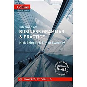 BUSINESS GRAMMAR AND PRACTICE PRE-INTERMEDIATE - NICK BRIEGER;SIMON SWEENEY