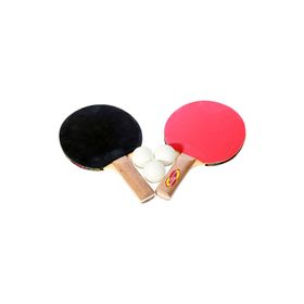 Busso BS2110 Masa Tenisi Raket Seti