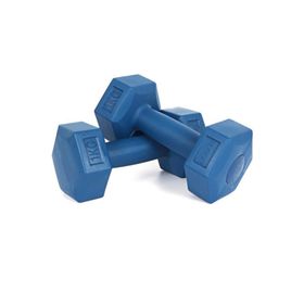 Busso CMT10 2 x 1 kg Dambıl Seti
