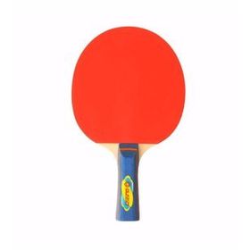 Busso Hudson 2 Yıldız Masa Tenisi Raketi