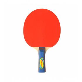 Busso Hudson 2 Yıldız Masa Tenisi Raketi