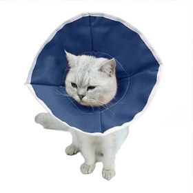 Bustark 10 Adet Kedi Bez Yakalık