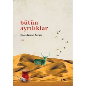 Bütün Ayrılıklar - Suavi Kemal Yazgıç