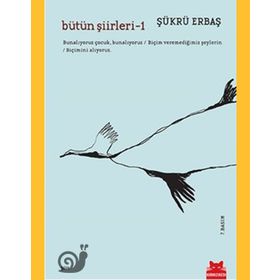 BÜTÜN ŞİİRLERİ 1 YENI BIR AŞKTAN ÖNCE - NECATI CUMALI