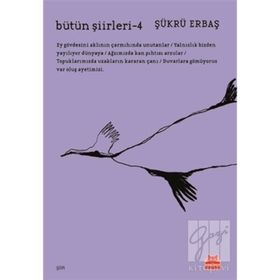 Bütün Şiirleri 4 - Şükrü Erbaş