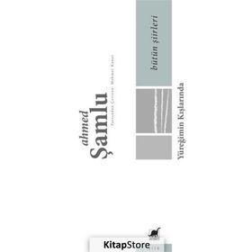 Bütün Şiirleri - Yüreğimin Kışlarında - Ahmed Şamlu