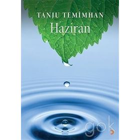 Bütün Sokaklar - Haziran - Sumru Temimhan Tanju Temimhan