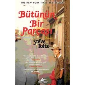 BÜTÜNÜN BIR PARÇASI - STEVE TOLTZ