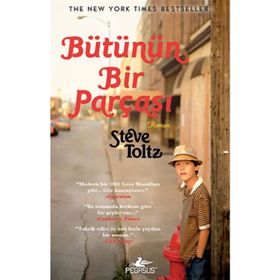 BÜTÜNÜN BIR PARÇASI - STEVE TOLTZ