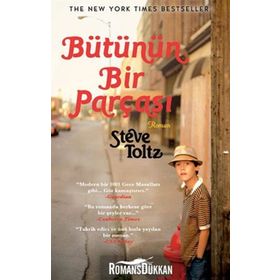 BÜTÜNÜN BIR PARÇASI - STEVE TOLTZ
