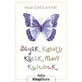 BÜYÜK KANATLI KÜÇÜK MAVI KELEBEK - SUAT ÇAĞLAYAN