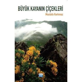 Büyük Kayanın Çiçekleri - Mustafa Korkmaz