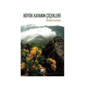 Büyük Kayanın Çiçekleri - Mustafa Korkmaz