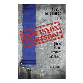 Büyük Kurumlar İçin İnovasyon - Bora Özkent