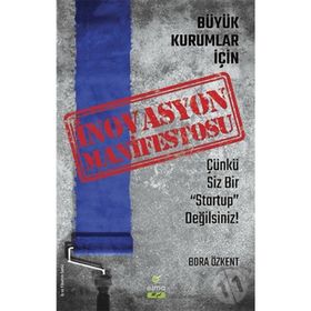 Büyük Kurumlar İçin İnovasyon Manifetosu - Bora Özkent