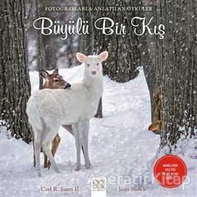 Büyülü Bir Kış - Carl R. Sams II Jean Stoick