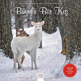 Büyülü Bir Kış; Fotoğraflarla Anlatılan Öyküler
