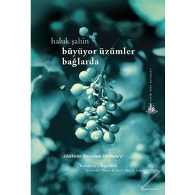 Büyüyor Üzümler Bağlarda - Haluk Şahin