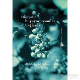 Büyüyor Üzümler Bağlarda - Haluk Şahin