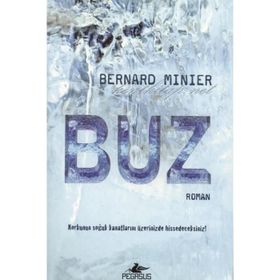 Buz - Bernard Minier