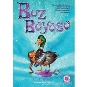Buz Büyüsü - C. J. Busby