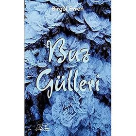 Buz Gülleri - Birgül Evren