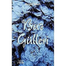 Buz Gülleri - Birgül Evren