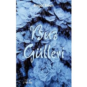 Buz Gülleri - Birgül Evren