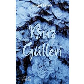 Buz Gülleri Kuytu Yayınları