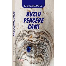 Buzlu Pencere Camı - Saray Eminoğlu