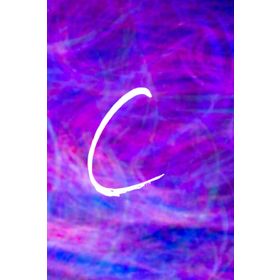 C - Tom McCarthy